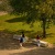 a group of people walking on a path by a tree