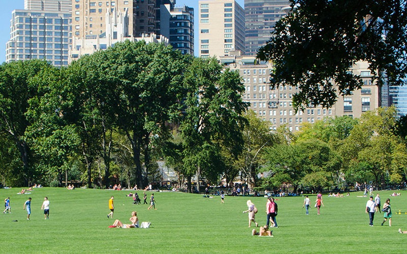 a large park with a city skyline in the distance